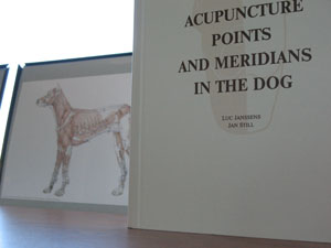 Acupuncture