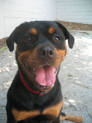 Daycare Is Fun!