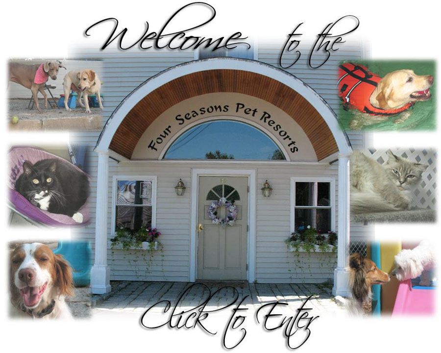 Welcome to the Four Seasons Pet Resorts. Click to Enter.