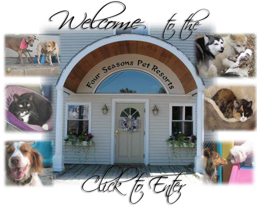 Welcome to the Four Seasons Pet Resorts. Click to Enter.