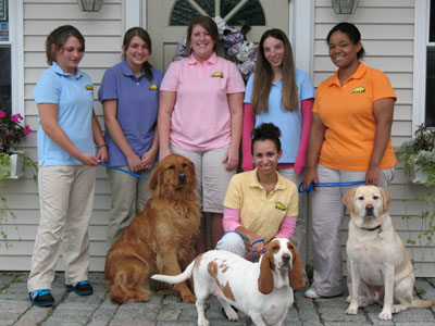 The Staff