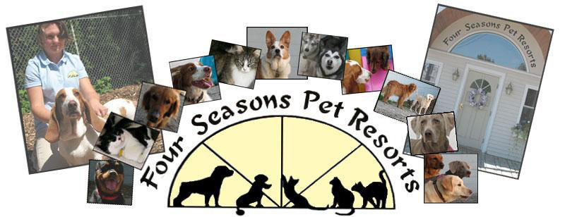 Four Seasons Pet Resorts